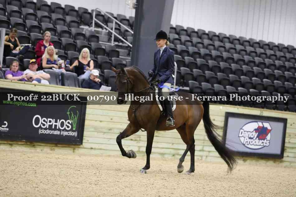 Proof 22BUCK_00790