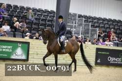 22BUCK_00791 proof