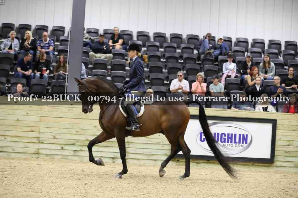 Proof 22BUCK_00794