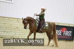 22BUCK_00795 proof