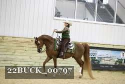 22BUCK_00797 proof