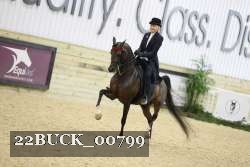 22BUCK_00799 proof