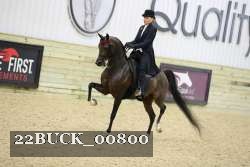 22BUCK_00800 proof