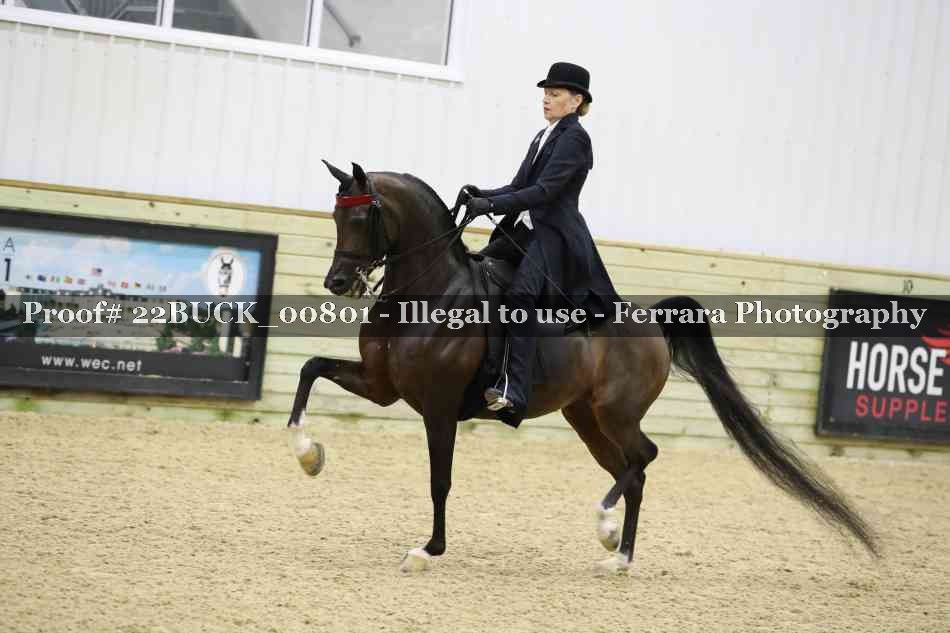 Proof 22BUCK_00801