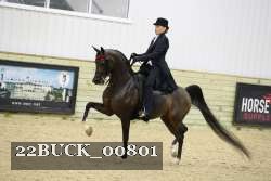 22BUCK_00801 proof