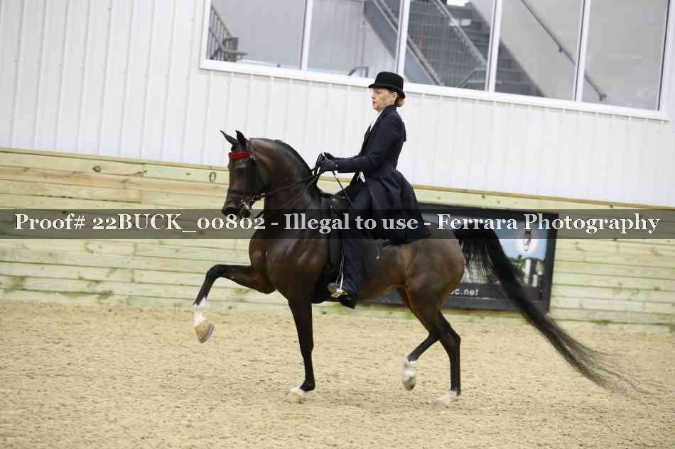 Proof 22BUCK_00802