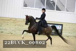 22BUCK_00802 proof