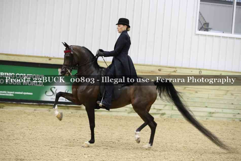 Proof 22BUCK_00803