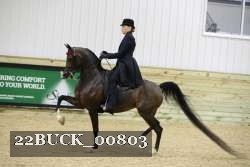 22BUCK_00803 proof