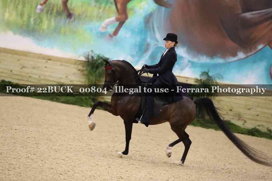 Proof 22BUCK_00804