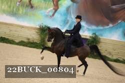 22BUCK_00804 proof