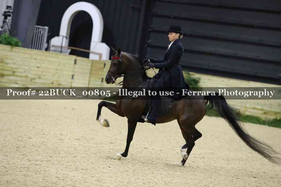 Proof 22BUCK_00805