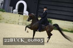 22BUCK_00805 proof