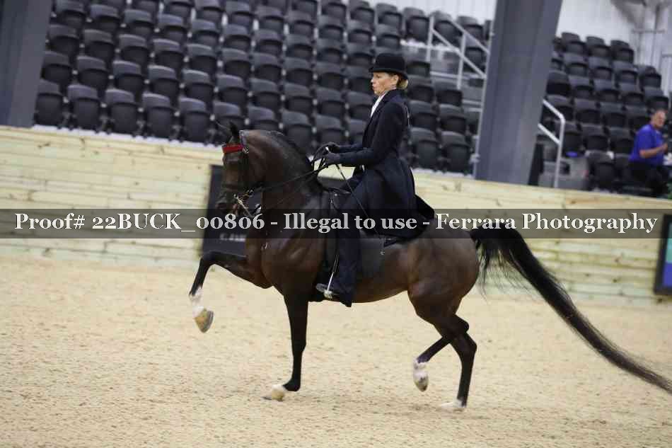 Proof 22BUCK_00806