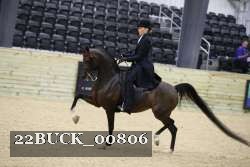 22BUCK_00806 proof