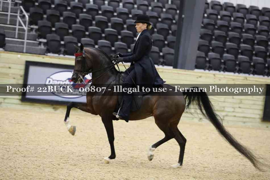 Proof 22BUCK_00807