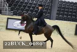 22BUCK_00807 proof