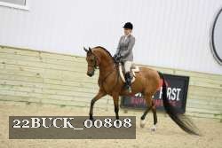 22BUCK_00808 proof