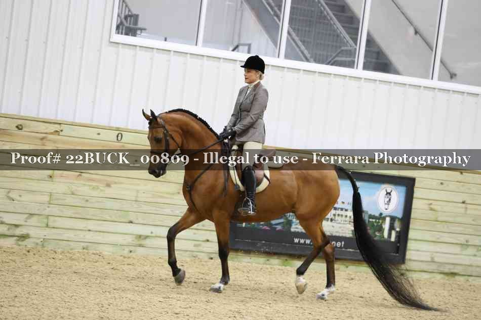 Proof 22BUCK_00809