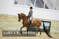 22BUCK_00809 proof