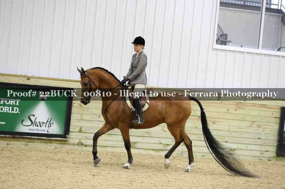 Proof 22BUCK_00810