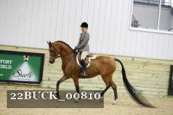 22BUCK_00810 proof