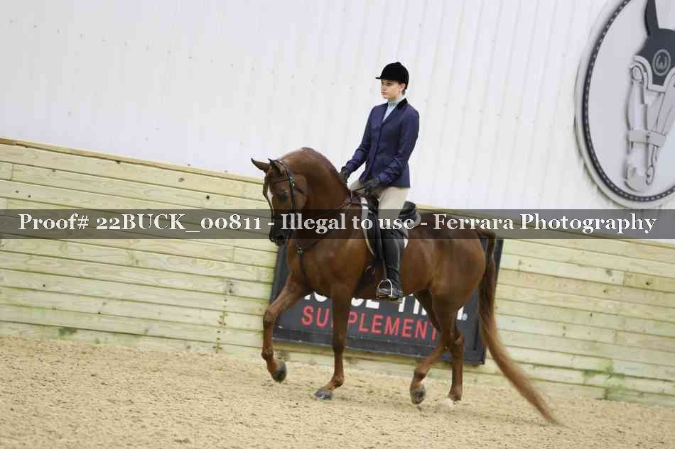 Proof 22BUCK_00811