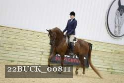 22BUCK_00811 proof