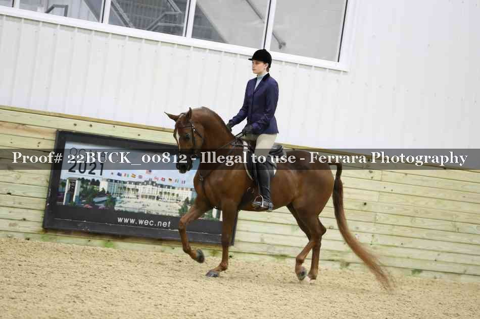 Proof 22BUCK_00812