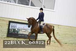 22BUCK_00812 proof