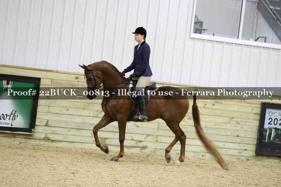 Proof 22BUCK_00813
