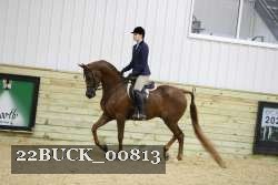 22BUCK_00813 proof
