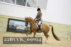 22BUCK_00814 proof
