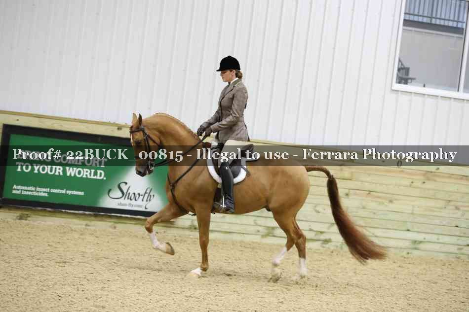 Proof 22BUCK_00815