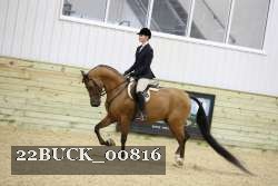 22BUCK_00816 proof