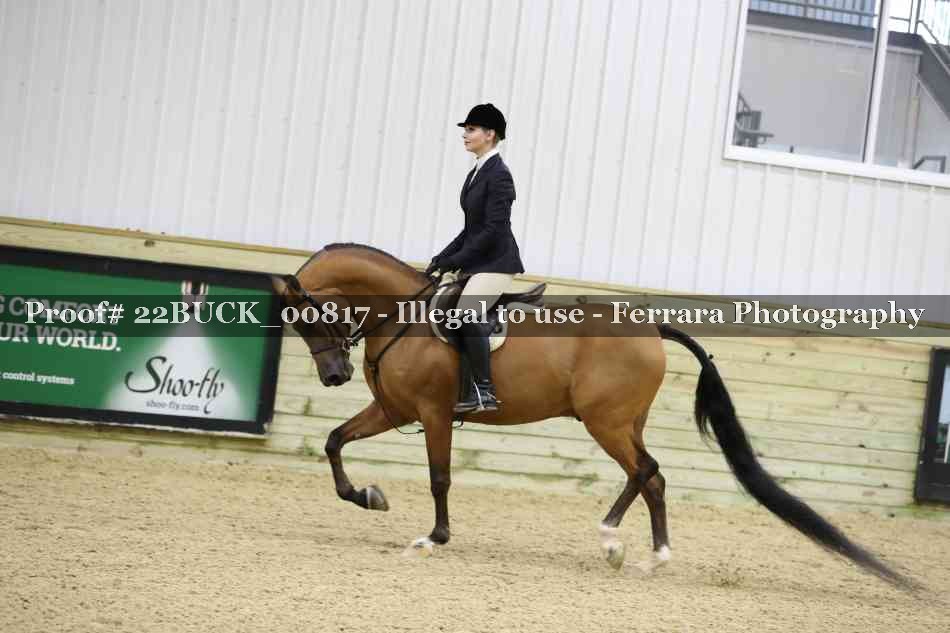 Proof 22BUCK_00817