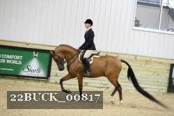 22BUCK_00817 proof