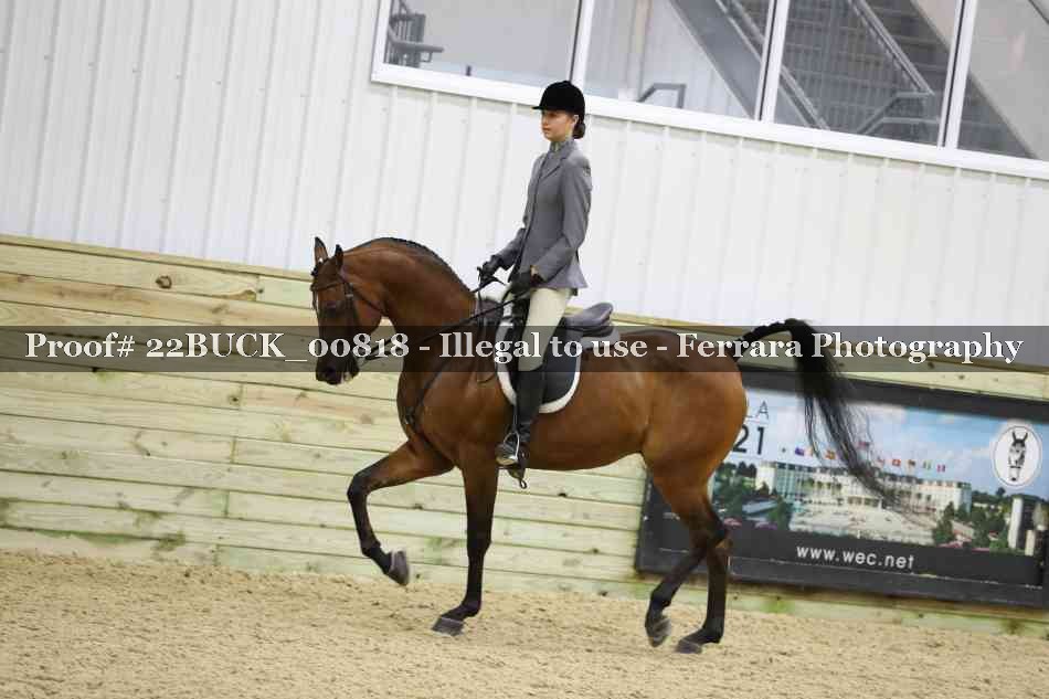 Proof 22BUCK_00818