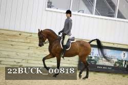 22BUCK_00818 proof