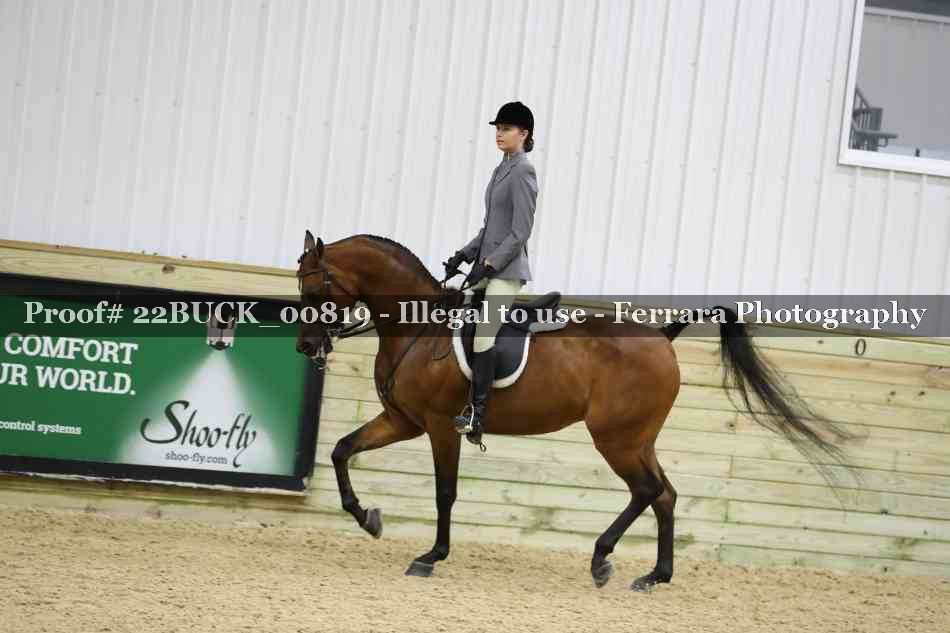 Proof 22BUCK_00819