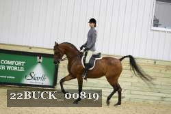 22BUCK_00819 proof
