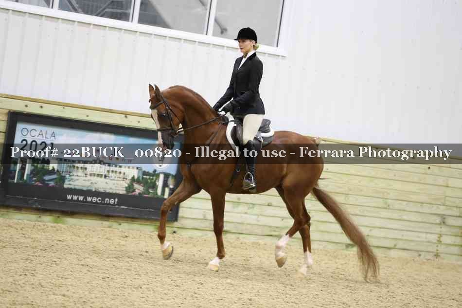Proof 22BUCK_00820