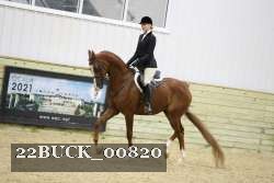 22BUCK_00820 proof