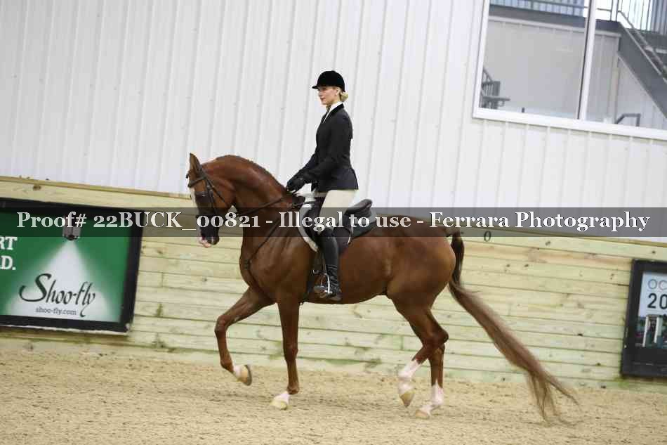 Proof 22BUCK_00821