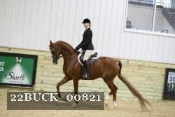 22BUCK_00821 proof