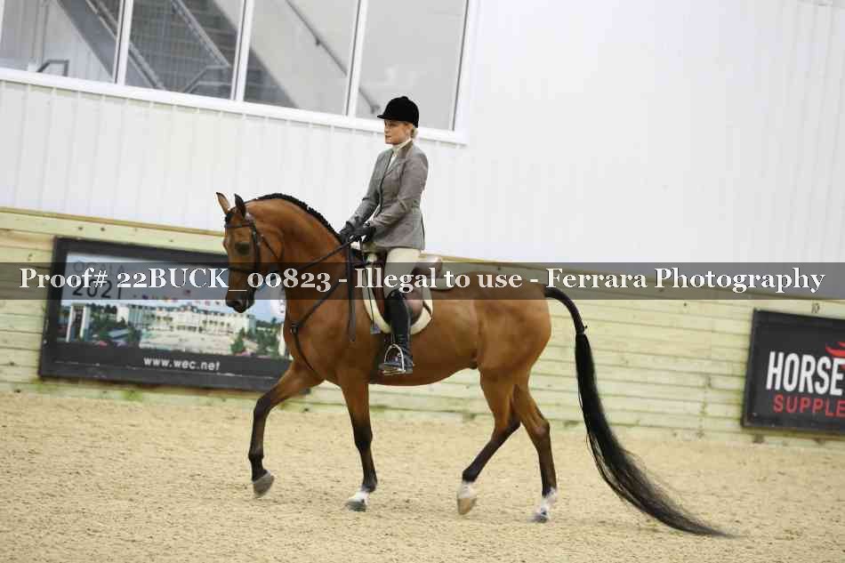 Proof 22BUCK_00823