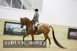 22BUCK_00823 proof