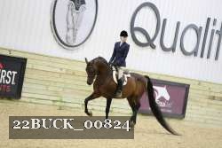 22BUCK_00824 proof