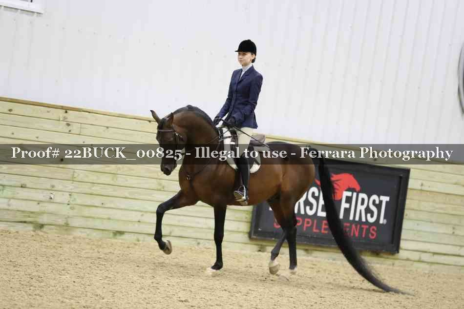 Proof 22BUCK_00825