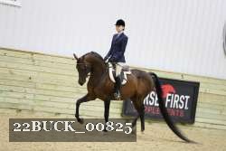 22BUCK_00825 proof